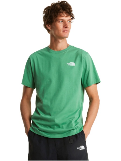 The North Face Evolution Box NSE Regular SS Tee Dimmed Algae