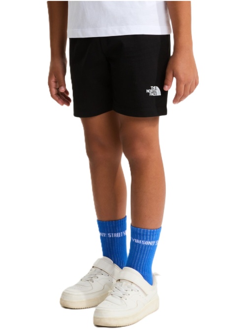 The Northface NSE Box Light Regular Shorts Black