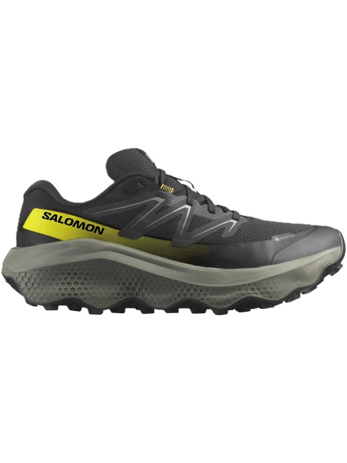 Salomon Ultra Flow 2 Gore-Tex Black/Sedona Sage/Incaberry